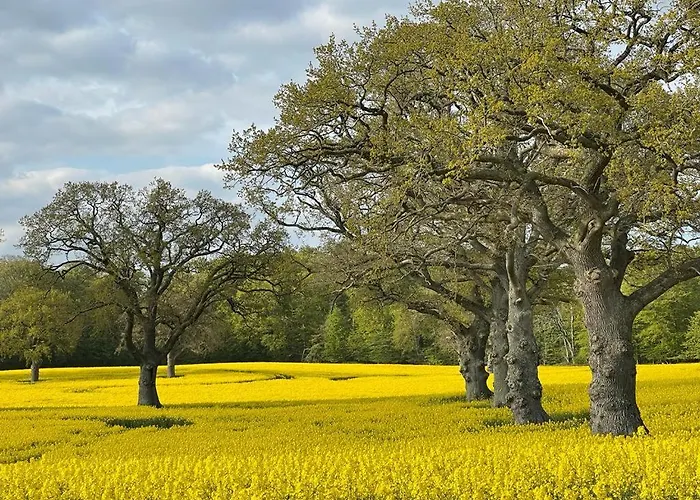 & Probstei Erleben Lägenhet *